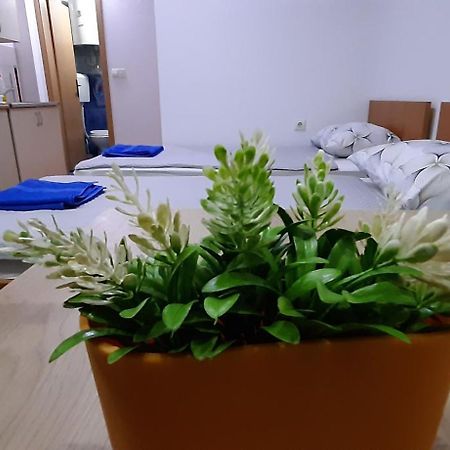 Apartment Riki 3 Near Bus Station Ohrid Exterior foto